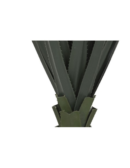 PLANTA PE 45X45X100 AGAVE VERDE