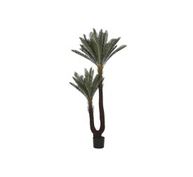 PLANTA PE 80X80X170 SAGO CYCAS VERDE