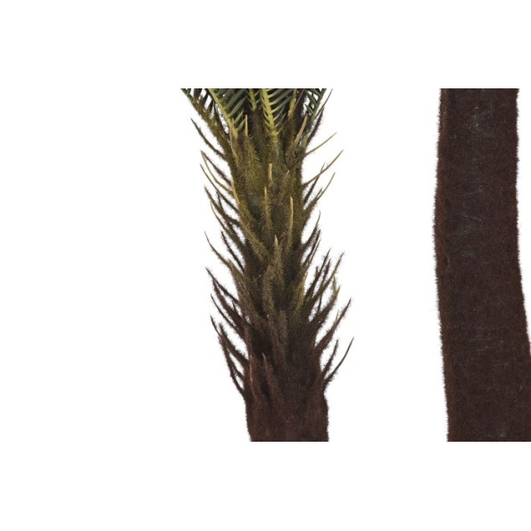 PLANTA PE 80X80X170 SAGO CYCAS VERDE