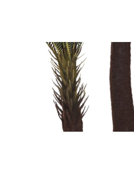 PLANTA PE 80X80X170 SAGO CYCAS VERDE