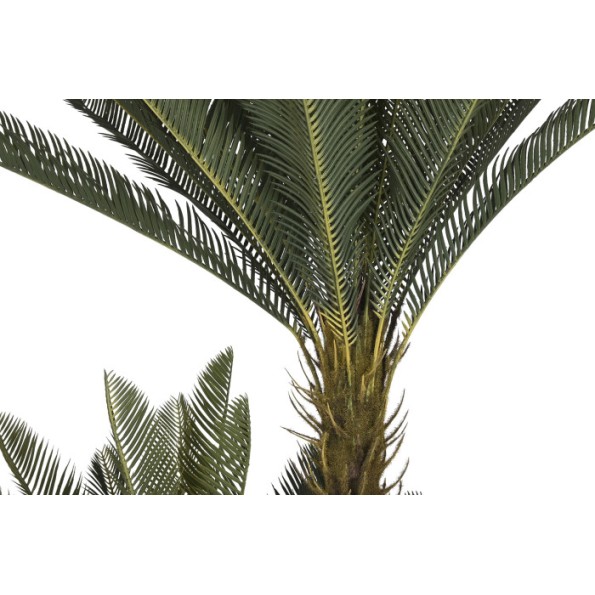 PLANTA PE 80X80X170 SAGO CYCAS VERDE