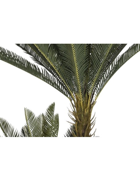 PLANTA PE 80X80X170 SAGO CYCAS VERDE