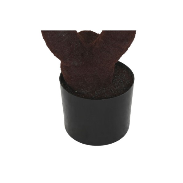 PLANTA PE 80X80X170 SAGO CYCAS VERDE