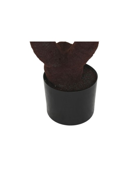 PLANTA PE 80X80X170 SAGO CYCAS VERDE