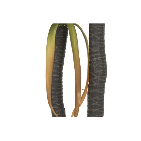 PLANTA PE 50X50X150 AGAVE CENTURY VERDE