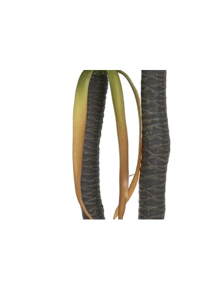 PLANTA PE 50X50X150 AGAVE CENTURY VERDE