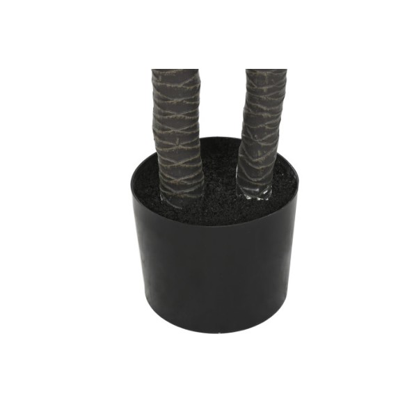 PLANTA PE 50X50X150 AGAVE CENTURY VERDE