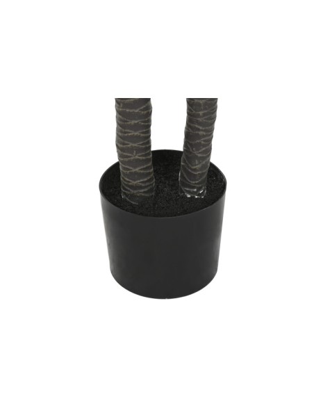 PLANTA PE 50X50X150 AGAVE CENTURY VERDE