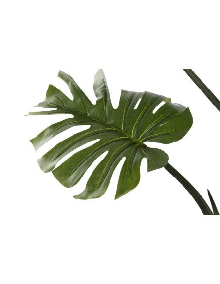 PLANTA PE 60X60X170 MONSTERA VERDE