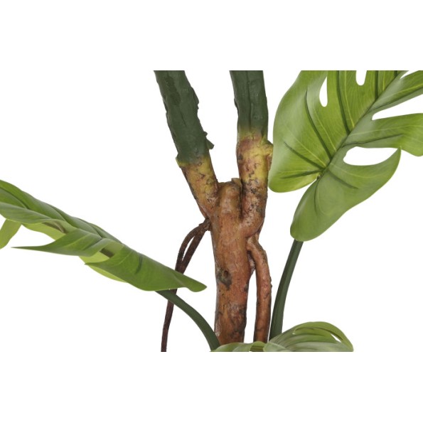 PLANTA PE 60X60X170 MONSTERA VERDE