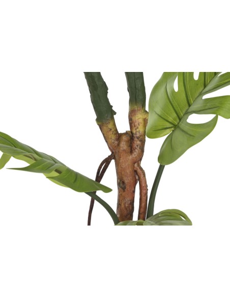 PLANTA PE 60X60X170 MONSTERA VERDE