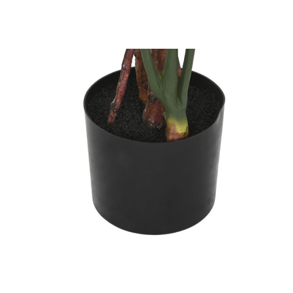 PLANTA PE 60X60X170 MONSTERA VERDE