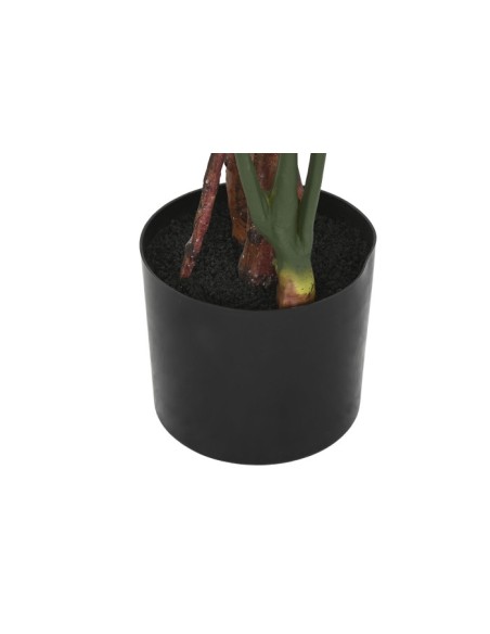 PLANTA PE 60X60X170 MONSTERA VERDE