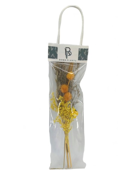 RAMILLETE Nº2 SILVESTR AMAR PRES.30x8/9