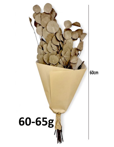 RAMO EUCALI VERDGRISA.PRES.ALT.60 60/65G