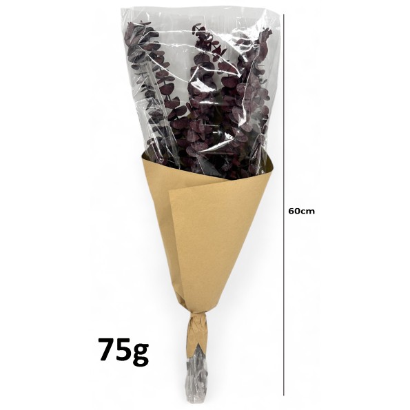 RAMO  EUCALIPTO ROJO.PRES.ALT.60 75G