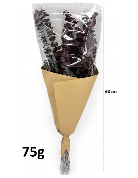 RAMO  EUCALIPTO ROJO.PRES.ALT.60 75G