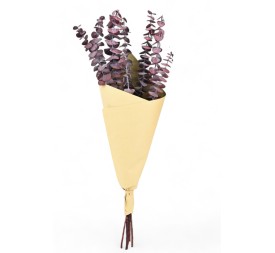 RAMO  EUCALIPTO ROJO.PRES.ALT.60 75G