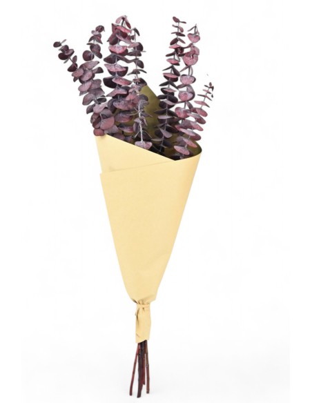 RAMO  EUCALIPTO ROJO.PRES.ALT.60 75G