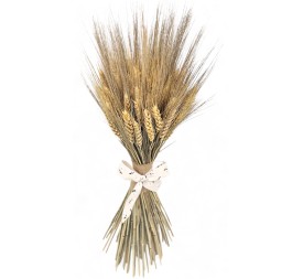 RAMO TRITICUM PRES. ALT.50x21