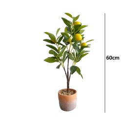 LIMONERO ART.C/MACETA RUSTICA ALT.60