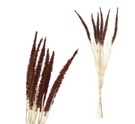 RAMO TRIGO BURDEO 50CM