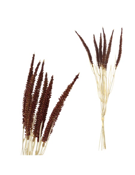 RAMO TRIGO BURDEO 50CM