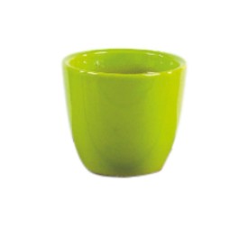 CASPO' VERDE D.7 H6