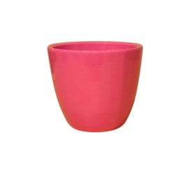 CASPO' ROSA D.7 H6