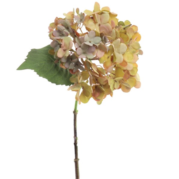 HYDRANGEA VERDE (2076-09)