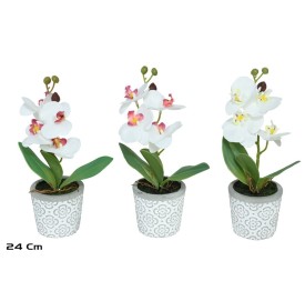 MACETA ORQUIDEAS X 4 R/TOUCH-24 CM (S)