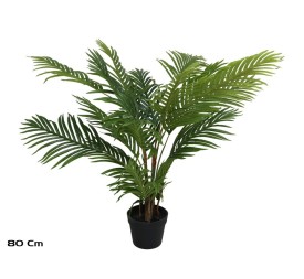 PLANTA PALMERA X 18 - 80 CM