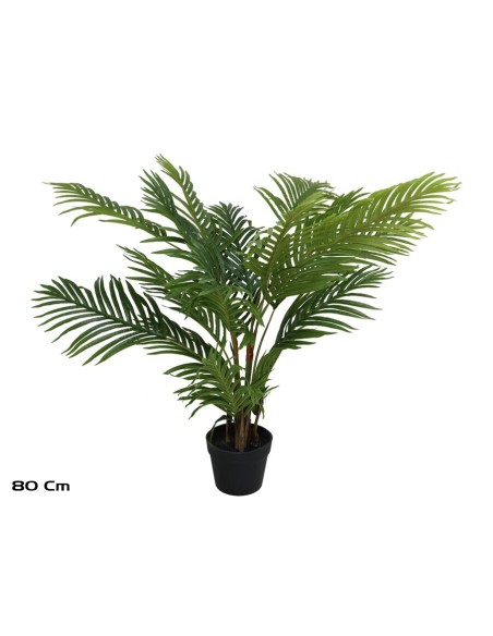 PLANTA PALMERA X 18 - 80 CM