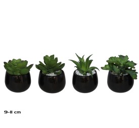 MACETA CERAMICA R/N  SUCULENTAS 9-11 CM