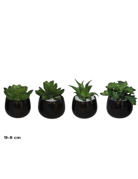 MACETA CERAMICA R/N  SUCULENTAS 9-11 CM