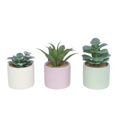 MACETA C-PASTEL SUCULENTAS 10-13 CM (S)