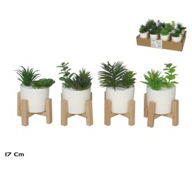 MACETA SUCULENTA C/ SOPORTE 17CM (S)