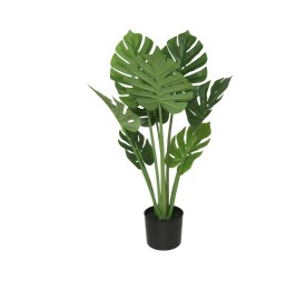 PLANTA MONSTERA X 8 - 90 CM