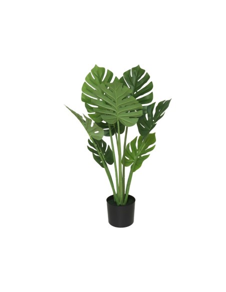 PLANTA MONSTERA X 8 - 90 CM