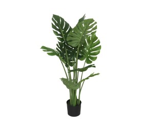 PLANTA MONSTERA X 10 - 110 CM