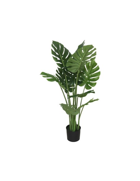 PLANTA MONSTERA X 10 - 110 CM