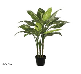 PLANTA DIEFFENBACHIA X 3 - 90 CM