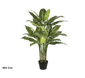 PLANTA DIEFFENBACHIA X 5 - 110 CM