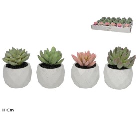 MACETA CERAMICA HEX SUCULENTAS 11 CM (S)