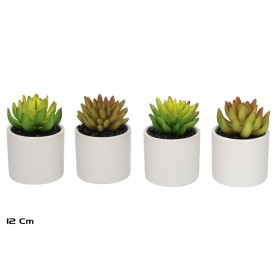 MACETA CERAMICA SUCULENTAS 12 CM (S)