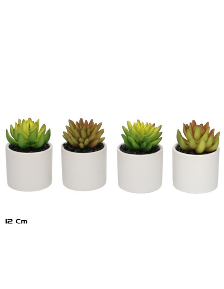 MACETA CERAMICA SUCULENTAS 12 CM (S)