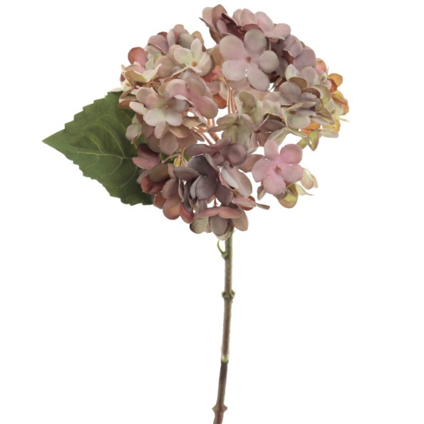 HYDRANGEA BURDEOS (2076-17)