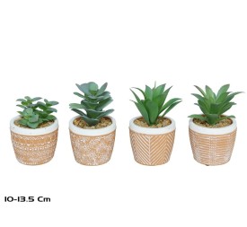 MACETA TIERRA SUCULENTAS 10-13.5 CM (S)