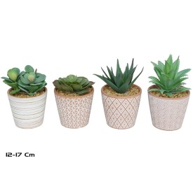 MACETA TIERRA SUCULENTAS 12-17 CM (S)