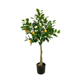 ÁRBOL LIMÓN, 180 H.+12 LIM. 105cm